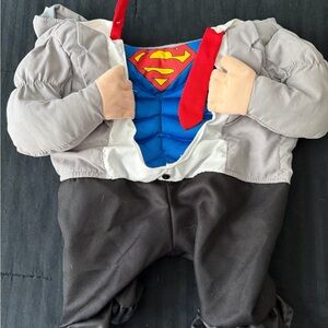 Heroic Dog Costume with Blue and Red Details